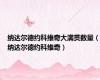 纳达尔德约科维奇大满贯数量（纳达尔德约科维奇）