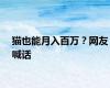 猫也能月入百万？网友喊话