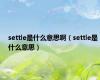 settle是什么意思啊（settle是什么意思）