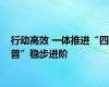 行动高效 一体推进“四普”稳步进阶