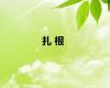 扎 根