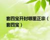 套四宝开封哪里正宗（套四宝）