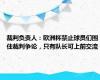 裁判负责人：欧洲杯禁止球员们围住裁判争论，只有队长可上前交流