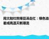 用太阳灶熬绿豆汤走红：绿色消暑成高温天新潮流