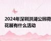2024年深圳洪湖公园荷花展有什么活动