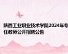 陕西工业职业技术学院2024年专任教师公开招聘公告