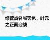 绿营点名喊罢免，叶元之正面迎战