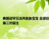 泰国迎罕见龙凤胎象宝宝 全球仅第三对诞生