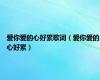 爱你爱的心好累歌词（爱你爱的心好累）