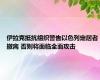 伊拉克抵抗组织警告以色列定居者撤离 否则将面临全面攻击
