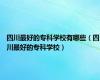 四川最好的专科学校有哪些（四川最好的专科学校）