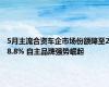 5月主流合资车企市场份额降至28.8% 自主品牌强势崛起