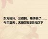 东方树叶、三得利、果子熟了……今年夏天，无糖茶卷到5元以下