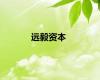 远毅资本
