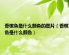 香槟色是什么颜色的图片（香槟色是什么颜色）