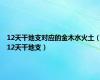 12天干地支对应的金木水火土（12天干地支）