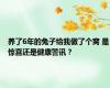 养了6年的兔子给我做了个窝 是惊喜还是健康警讯？