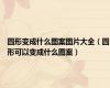 圆形变成什么图案图片大全（圆形可以变成什么图案）