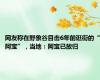 网友称在野象谷目击6年前逛街的“阿宝”，当地：阿宝已放归