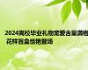2024高校毕业礼物宠爱含量满格 花样盲盒惊艳登场