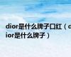 dior是什么牌子口红（dior是什么牌子）