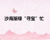 沙海渐绿“寻宝”忙