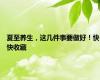 夏至养生，这几件事要做好！快快收藏