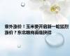 意外涨价！玉米要开启新一轮猛烈涨价？东北粮商面临抉择