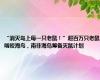 “消灭岛上每一只老鼠！”超百万只老鼠啃咬海鸟，南非海岛筹备灭鼠计划