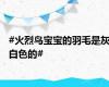 #火烈鸟宝宝的羽毛是灰白色的#