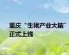 重庆“生猪产业大脑”正式上线