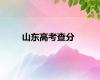 山东高考查分