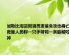 加勒比海盗男演员遭鲨鱼攻击身亡 救援人员称一只手臂和一条腿被咬掉