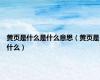 黄页是什么是什么意思（黄页是什么）
