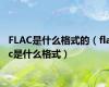 FLAC是什么格式的（flac是什么格式）