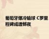 葡萄牙爆冷输球 C罗里程碑成遗憾夜