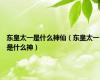 东皇太一是什么神仙（东皇太一是什么神）
