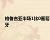 格鲁吉亚半场1比0葡萄牙