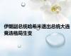 伊朗副总统哈希米退出总统大选 竞选格局生变
