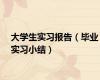 大学生实习报告（毕业实习小结）