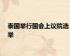 泰国举行国会上议院选举