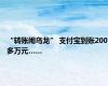 “转账闹乌龙” 支付宝到账200多万元……