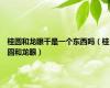 桂圆和龙眼干是一个东西吗（桂圆和龙眼）