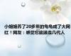 小姐姐养了20多年的龟龟成了大网红！网友：感觉它能送走几代人