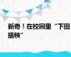 新奇！在校园里“下田插秧”