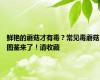 鲜艳的蘑菇才有毒？常见毒蘑菇图鉴来了！请收藏
