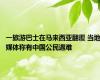 一旅游巴士在马来西亚翻覆 当地媒体称有中国公民遇难