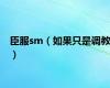 臣服sm（如果只是调教）