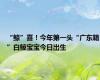 “鲸”喜！今年第一头“广东籍”白鲸宝宝今日出生