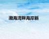 渤海湾畔海岸新